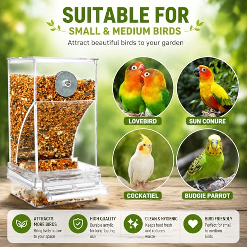 Rypet No-Mess Automatic Bird Feeder, Parakeet Cage Accessories | Transparent Acrylic Food Level Check, Helps Reduce Seed Scatter, for Small Birds Cockatiel Parrot Canary - color: Transparent