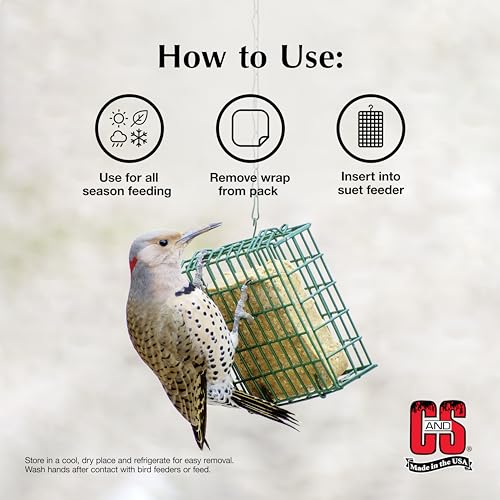 C&S Woodpecker Suet Treat, Outdoor Wild Bird Food for Woodpeckers, Flickers and More, 8 Pack - style: Woodpecker, 8 Pack