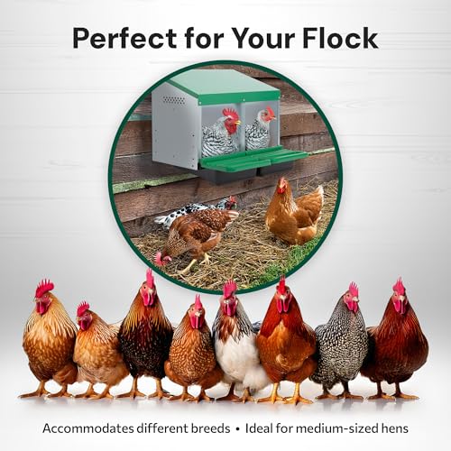 Homestead Essentials Classic Style 2 Compartment, Forward Rollout and Rollaway, Hen & Chicken Nesting Box with Integrated Perch and Protective Egg Laying Collection Lids - size: 20.8"L x 20.5"W x 20.0"H