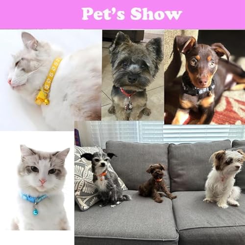 Green Pupppy Collar with Bell Leash Set, Nylon Basic Reflective Small Dog Collar Boy Paw Print for XXS Xs S Dog Kitten Pet Animal Tiny - color: Green