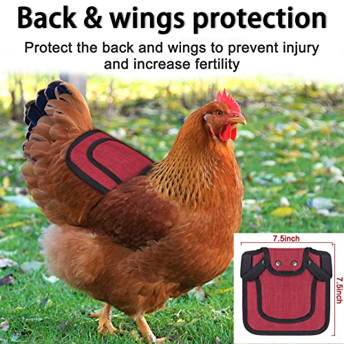2pcs Chicken Saddle for Hens, Chicken Apron Clothes Hen Saddle for Chickens Adjustable Straps and Elastic Shoulder Suit Medium and Large Hens, Red