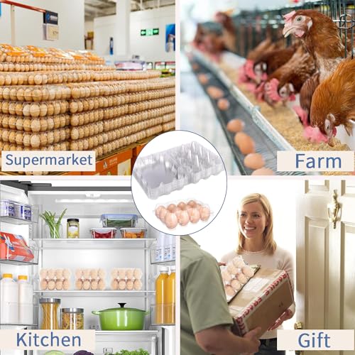12 Packs Egg Cartons 4x3 Plastic Egg Carton Cheap Bulk 1 Dozen - size: Holds 12 eggs-12Pack