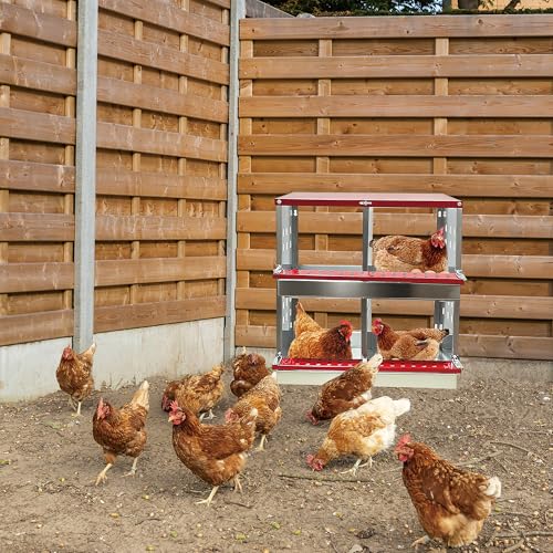 XINYI Chicken Nesting Boxes for Laying Eggs,Metal Coop for 4 Chickens,Roll Away Nesting Boxes,Easy Egg Collection,Brooder Box for Rabbit,Squirrel,Parakeet,Owl,Cockatiel,Robin - size: 4 Compartments