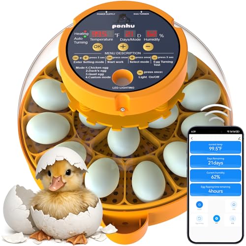 16 Duck Eggs Incubator with Phone App, Automatic Incubator with Custom Mode | Chicken Incubators for Hatching Eggs with Humidity, Temperature Control, Small Incubator with Egg Turner Tray for Beginner