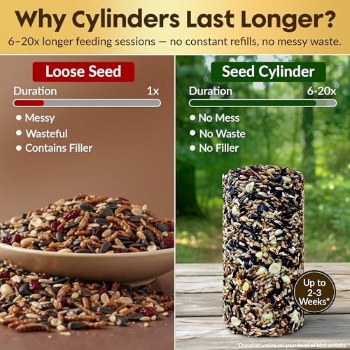 Cardinal Bird Seed Cylinders with Hole, Nutrasaff & Mealworms, 2 Pack | Cardinal Blend, Cylinder Bird Seed, Safflower, Peanuts, Mealworms & Cranberries, Attracts Various Wild Birds, USA Made 1.5lbs - size: 2-Small