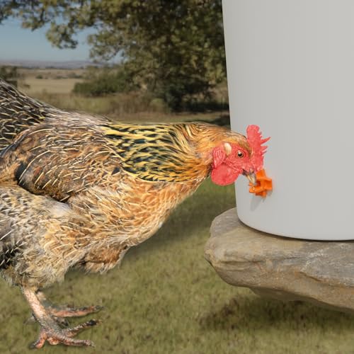 Chicken Waterer Nipples, Pack of 20 (Orange), Horizontal Side Mount, Anti-Leak Automatic Water System for Poultry, Suitable for Chickens, Duck, Quail, Includes Drill Bit & Installation Tool