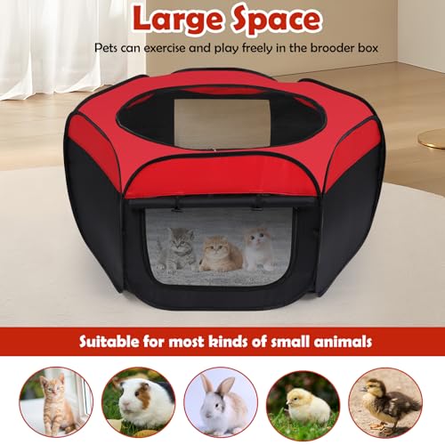 Brooder Box for Chicks Pop-Up Baby Chicken Cage Perch Up to 17 Baby Chicks, Ducks and Quails Chick Starter Kit with Storage Bag, Top Cover, Fixed Pegs, Waterproof Mat
