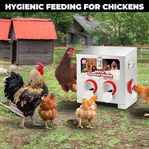 Chicken Feeder 25LBS,4-Port Metal Poultry Feeder for Chickens, Poultry Coop | No Waste with Locking Lid&Riveted Handles,Adjustable Height,Large Capacity Rainproof Automatic Chicken Feeders - size: 25lbs