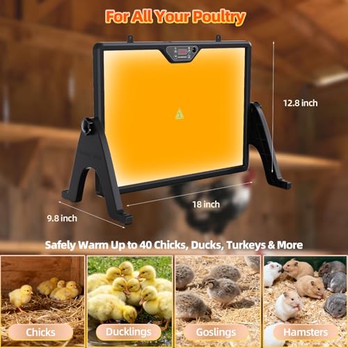Brooder Plate for Chicks with Remote Control, Double-Sided Chick Heat Plate, Night Light, 4 Timer Modes, LED Light, Adjustable Angle & Temp Display, 180W for Chicks/Ducks/Cats/Dogs (Black) - color: Black