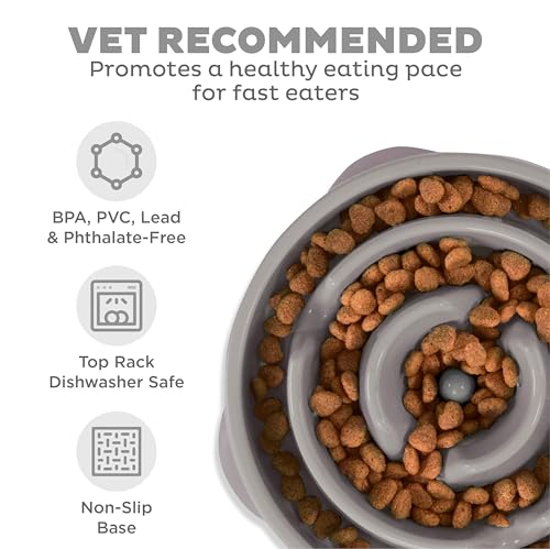 Outward Hound Fun Feeder Slo Bowl – Large 4‑Cup Capacity, Slow Feeding, Medium to Large Dogs, Non‑Slip, Gray, Drop Pattern, 11.75" - color: Gray, size: Large