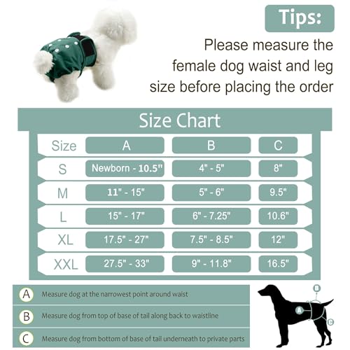 3 Pack Female Dog Diapers - Reusable Diapers for Doggie in Heat - Highly Absorbent Dog Diapers Female for Pet Incontinence with Adjustable Snaps (Red,Grreen,Black, S) - color: Red,Green&Black, size: Small（New Born-11.5“Waist）
