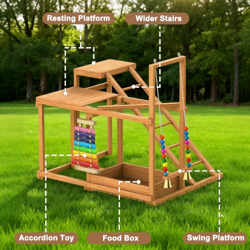 Wooden Chicken Activity Play for Poultry Run, Chicken Toy for 3-4 Birds | Chicken Coop Accessory with Multiple Perches, Swing, Ladder, Feeder, Xylophone Toy & Bell, Outdoor Birds Pet Entertainment