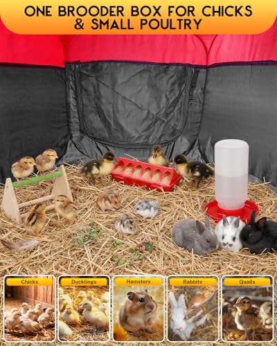 Magicfly Brooder Box for Chick, Chicken Brooder Box Holds up to 15 Chicks | Pop-Up Brooder Box for with Dual Doors, Chicks Starter Kit Includes Chicken Feeder, Waterer, Perch - color: Basic Starter Kit
