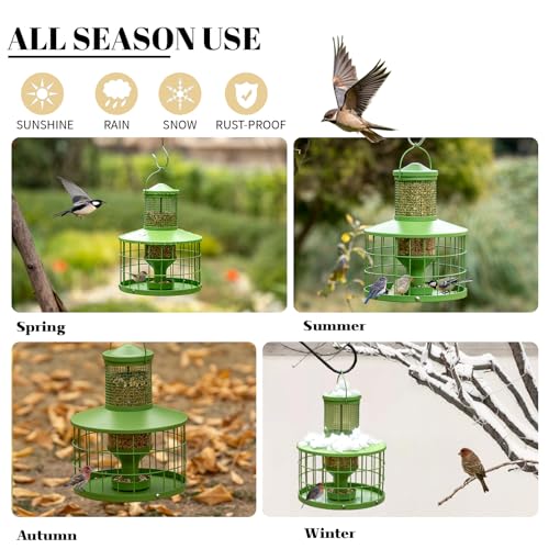 Caged Bird Feeders Squirrel-Proof, Metal, 2.8Lbs Capacity-Cage Tube Seed Feeders with Tray, Hanging Wild Bird Feeders, Attract Birds,Detachable Cleaning, Starling Proof Wild Bird Feeder（Green） - color: Green