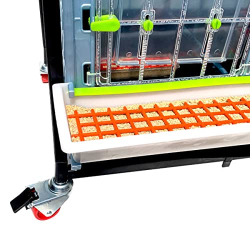 Hatching Time 15" Chick Brooders – Stackable & 2-Section Options, Automatic Heating, Easy-Clean Tray, Includes Feeders & Drinkers, Perfect for Quail, Chickens, Ducks & Baby Birds (4 Layer) - style: 3 Section, 4 Layer