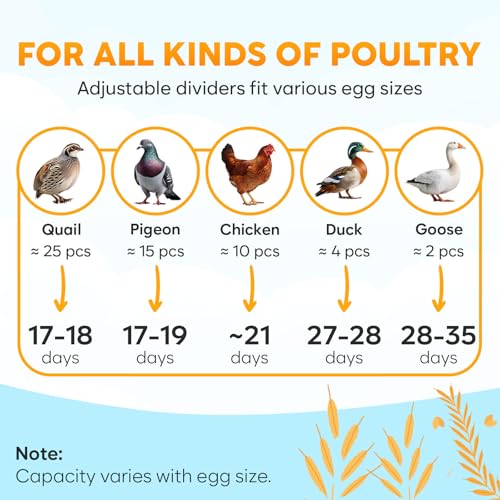 12 Egg Incubator with Automatic Egg Turning and Humidity Control – Egg Incubators for Hatching Eggs – Egg Candler, Water Bottle Refill, Air Vent, 360° View – Incubadora de Huevos de Gallina