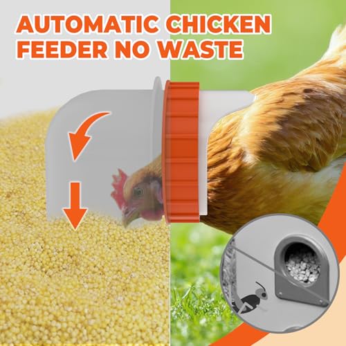 4 Port Automatic Chicken Feeder, No Waste Poultry Feeder with Lid | 25 LBS Large Gravity, Weatherproof Lid, Locking Latch, Convenient Handle, Heavy Duty Automatic Metal Chicken Feeder - size: 4 Ports (25 LBS)