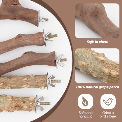 5PCS Bird Perch Stand Natural Wooden Parrot Stand Branch,3 Grape Wood Perch,2 Stand,Paw Grinding Fork Parakeet Chewing Stick Exercise Training Branches for Cockatiels,Small Medium Birds