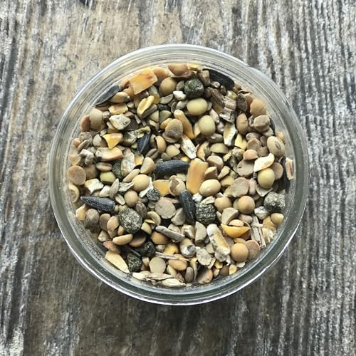 Non-GMO 40 lb Turkey Feed - Natural Peacock, Game Bird & Bird Feed, 24% High Protein Complete Food with Essential Oils, Herbs, Vitamins & Probiotics Formula for Healthy Flock Growth - size: 40 Pound (Pack of 1)