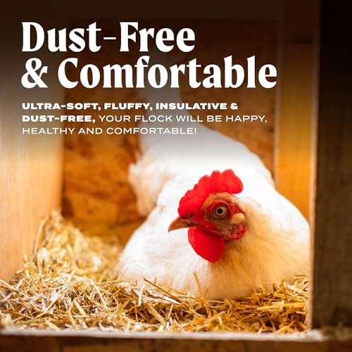 HealthiStraw FarmStraw Coarse Cut 3 cu ft (25lb) Expands up to 10+ cu ft – All-Natural, Wheat Straw Chicken Bedding for Clean, Dry, Odor-Free Coops, Dust-Free, Insulative, Absorbent – Sustainable