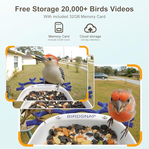 Smart Bird Feeder with Camera Solar Powered 2K HD Live Video with 32GB Card | AI Identifies 10,000+ Bird Species, Instant Alerts, IP65 Waterproof, Easy Setup, Bird Watching Gift for Bird Lovers - color: Blue