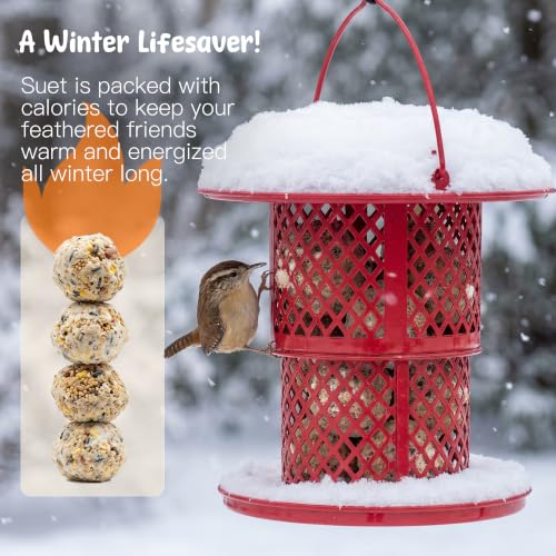 KOL Metal Suet Ball Feeder for Birds – Single-Layer Expandable Design Suet Bird Feeder, Heavy-Duty Wild Bird Feeder with Secure Lid, Large Capacity for Backyard (Red) - color: Red