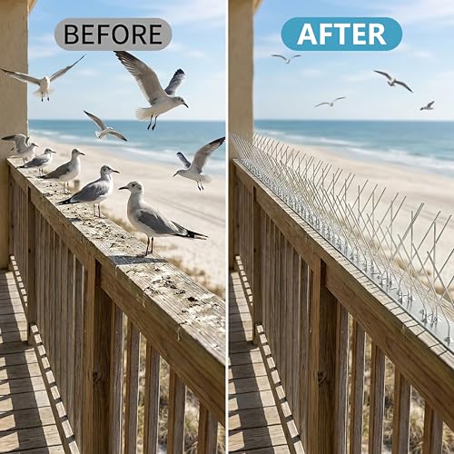 Bird Spikes 9.84FT, 304 Stainless Steel Bird Deterrents Spikes for Outside to Keep Birds Away Birds Scare Devices Outdoor 12Pcs - size: 9.84Feet