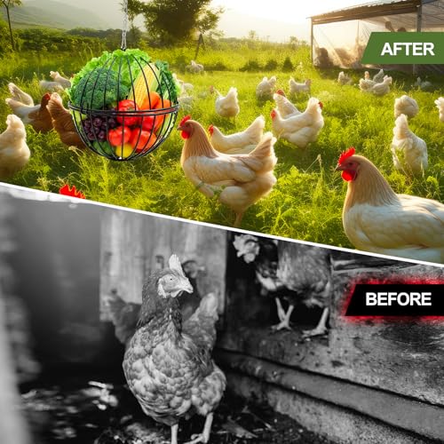 4 Pack Hanging Chicken Feeders for 10+ Chicken, 7.5 Inch Iron Rodent-Proof Duck Treat Dispenser Balls with 17.7 Inch Adjustable Hanging Chain for Feed and Toys, Weatherproof & Easy Install
