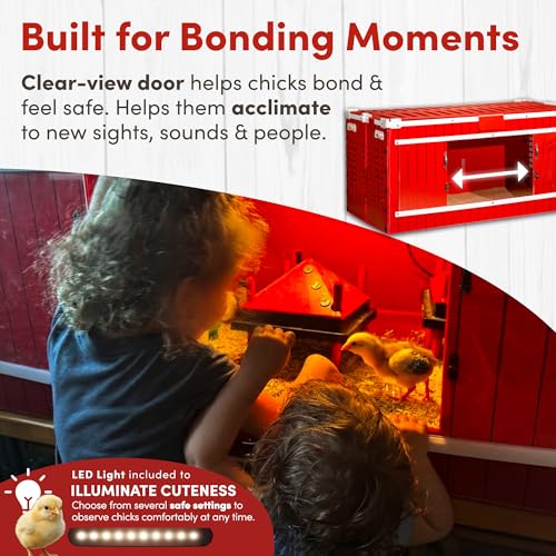 RentACoop Big Red Barn Chick Brooder Set with Heating Plate