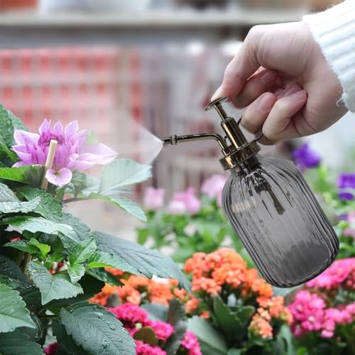 Glass Plant Mister Spray Bottle, 350ML Vintage Plant Spritzer with Top Pump Watering Can for Indoor Outdoor House Plants,Flowers (Gray) - color: Gray