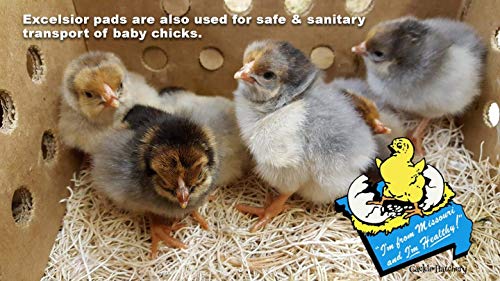 Laying Hen Nest Box Pads Made in USA from Sustainable Aspen Exceslior - 13x13 Nesting Box Liners (6-Pack) - size: 6-Pack