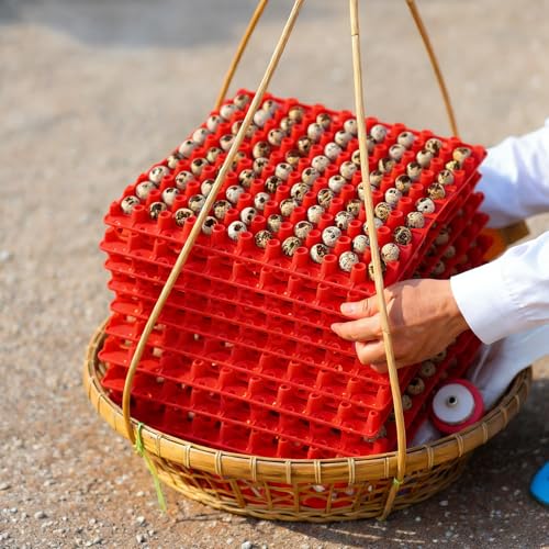 Teenyyou 10 Pcs 90 Egg Plastic Trays Quail Egg Flats Holder for Quail Pigeon Dove Bird Flat Carton (Red) - color: Red