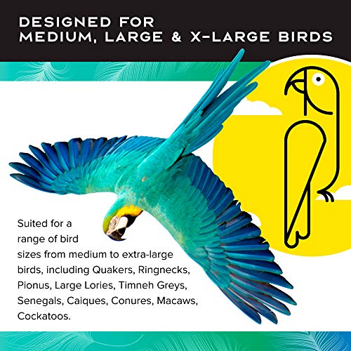 Featherland Paradise - Hanging Buffet Ball - Interactive Bird Toy and Treat Dispenser - Creative Foraging Systems - Ideal for Medium to Extra Large Birds - style: Buffet Ball & Skewer