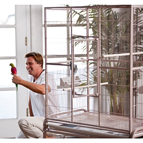 A&E Cage Co. Flight Cage & Stand, 32"x21", Green - color: Green, size: 32.0"L x 21.0"W x 63.0"H