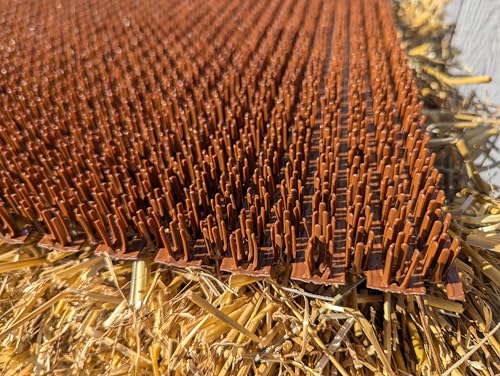Hen's Choice™ - NestTurf Chicken Nesting Box Pad | Washable Plastic Nesting Box Liner | Chicken Bedding for Coop (47 5/8" x 96") - size: 47 5/8" x 96" (standard)