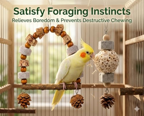 2 Pack Natural Bird Toys Set - Arch Wood Swing & Sola Ball Shreddable Toy - Foraging Hanging Perch with Pine Cones & Pumice Stone Beak Trimmer, Cage Accessories for Cockatiel, Conure, Parakeets - color: Wood A(Sola Ball Set)