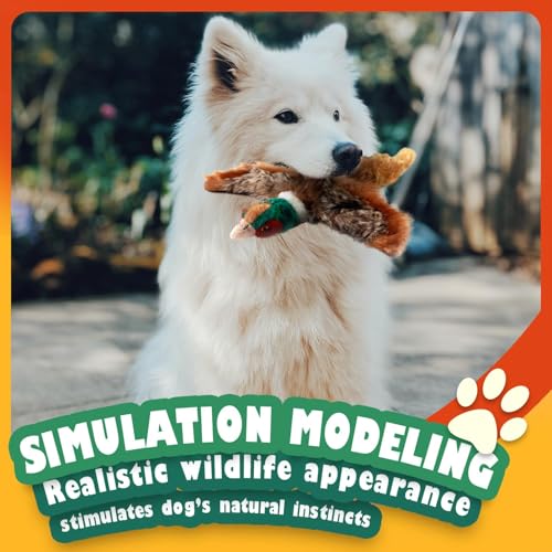 ALL FOR PAWS Dog Interactive Pheasant Toys, Squeaky Dog Toys, Stuffed Animal Dog Hunting Plush Toy, Small