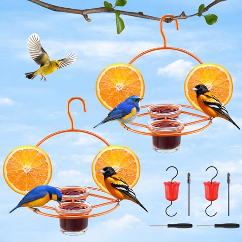 2 Pack Oriole Bird Feeder for Outdoors Jelly and Oranges, Hanging Oriole Feeder with Ant Moat & 2 Glass Cups & Cleaning Brush & Screwdriver, Metal Bird feeders for Outdoors for Jelly Nectar (2 Cups)