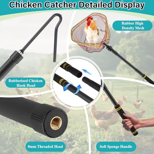 Chicken Catcher Net,37 to 64in Chicken Catcher Leg Hook Extra Long Handle Animal Catcher Pole Heavy Duty with Frosted Tube Extension Pole Poultry Hook Fowl Catcher (Black, 64in) - color: Black, size: 64in