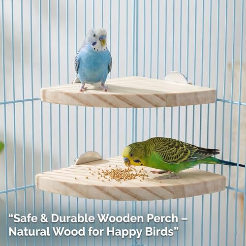 2 Pcs Flat Perches for Bird Cages Flat Bird Perch Platform Birds Perch Birds Cages Accessories Fan Shape for Parakeet Conure Cockatiel Budgie Rat Chinchilla Gerbil Hamster (2 Size)
