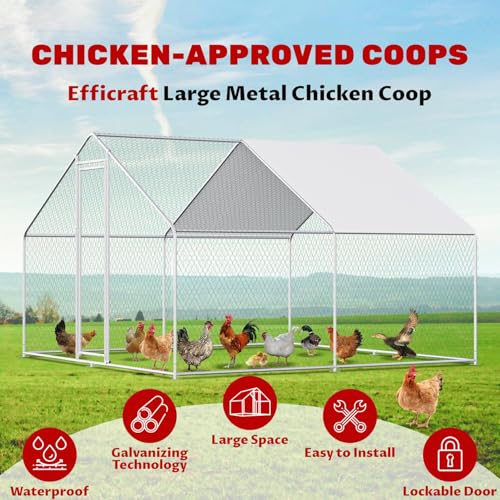 9.8x9.8x6.5ft Metal Chicken Coop, 2-Room Chicken Run with Cover | 2-room walk-in chicken run with galvanized steel frame, waterproof UV-resistant cover, lockable door, and PVC-coated mesh - color: 2-Unit Coop