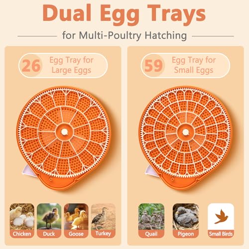 26 Voice-Controlled Incubator for Hatching Eggs, Temp & Humidity Control | 2 Egg Trays for 26 Chicken/59 Quail Eggs, Auto Egg Turning, Egg Candler, Temp & Humidity Alarm, High Hatch Rate, Easy to Use
