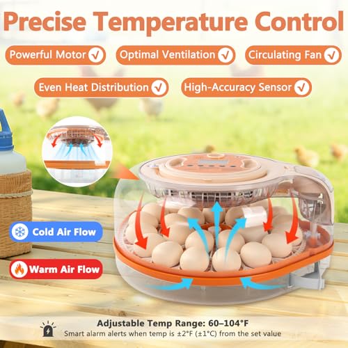 26 Voice-Controlled Incubator for Hatching Eggs, Temp & Humidity Control | 2 Egg Trays for 26 Chicken/59 Quail Eggs, Auto Egg Turning, Egg Candler, Temp & Humidity Alarm, High Hatch Rate, Easy to Use
