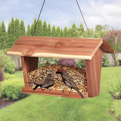 Kaytee Wild Bird Food, Summer Nesting Seed Blend, 8 lb - style: Summer Nesting