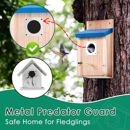 Dreyoo 4 Pack Bluebird Houses for Outside, 1-1/2'' Entrance Hole Wooden Bluebird Houses for Outdoors with Metal Guard, Secure Latch, Fledgling Grooves, Air Vents (Blue Roof with Wood Body)