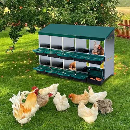 Chicken Nesting Boxes,10 Compartment Metal Roll Away Nest Box for Chicken Coop,Chickens Laying Egg, Lid Cover to Protect Eggs,Easy Egg Collection,Cleanable Pull Out Hen Roosting Boxes - color: green, size: 10 holes