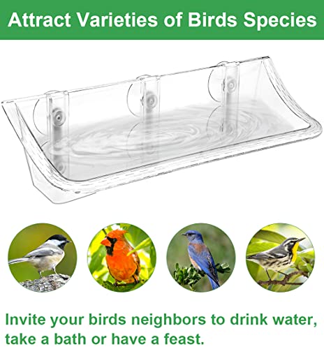 Clear Window Mounted Bird Feeder Bath, 1 Pack | Transparent Glass Birdfeeder Birdbath with Strong Suction Cups for Cats, Kids, Elderly Viewing Outside