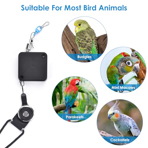 6.6Ft Bird Leash, with 13 Different Size Foot Ring Retractable Anti-Bite Parrot Harness, Bird Flight Training Rope for Budgies,Cockatiels,Psittacula Longicauda,Mini Macaws （Silver Ankle Bracelet） - color: Silver ankle bracelet