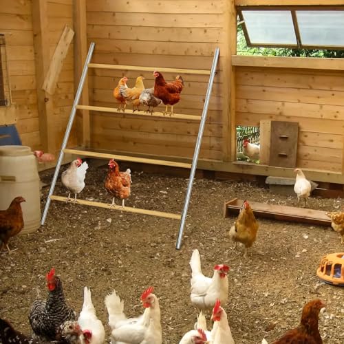 Chicken Perch for Coop, Roosting Bars- for Chickens&Ducks&Geese&Pigeons, Chicken Perches, Perfect for Backyard&Farm Poultry- Easy to Assemble and Clean(55''L x 40''W)