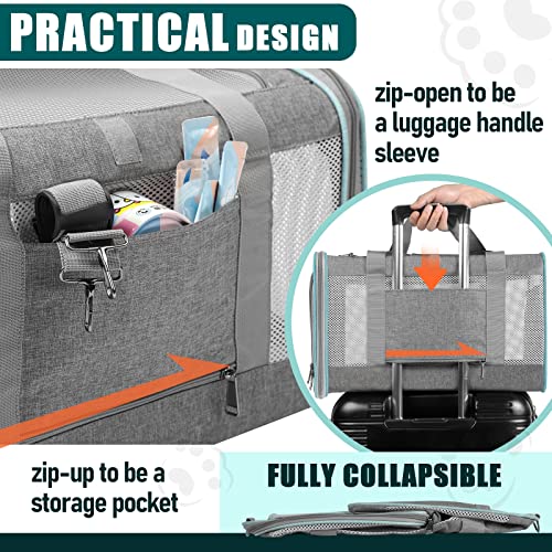 GAPZER Large Cat Carrier Soft, Collapsible Travel Pet Carry Bag, Small Dogs | Large Cats up to 20 lbs+ Maine Coon, Top Load Transport Small Puppy Dog Crate, Chihuahua Mini Dog 10lbs, Sturdy Mesh Grey - color: Grey